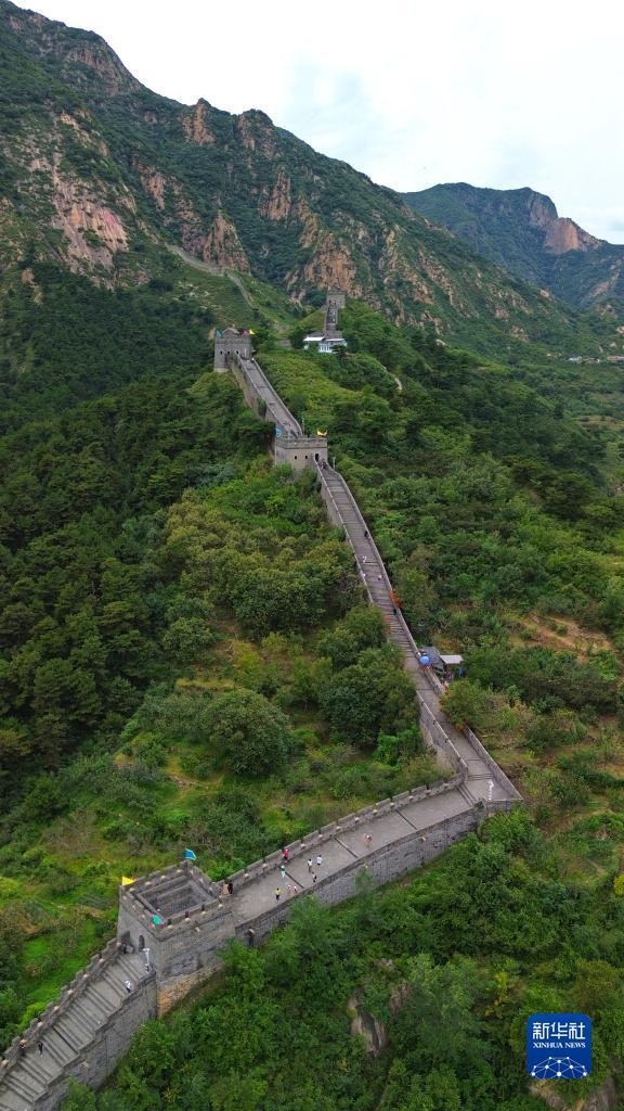 推饼子游戏下载